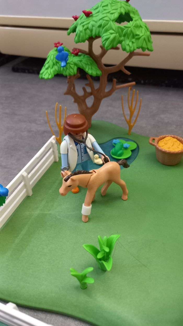 Playmobil Country - photo numéro 3