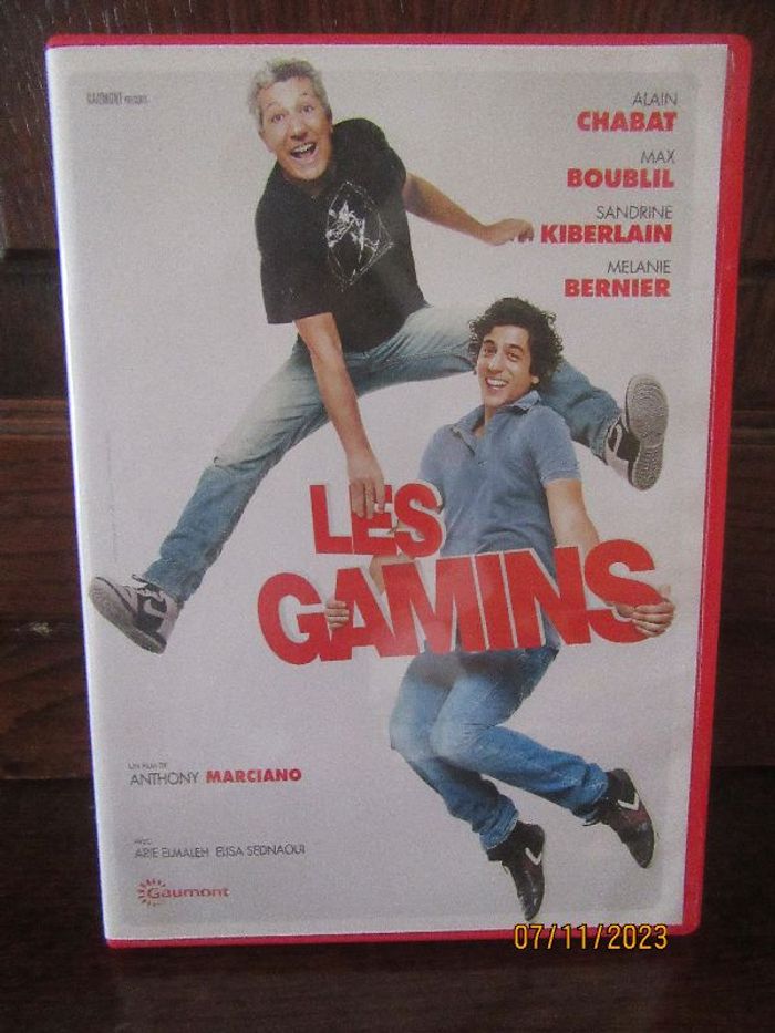 DVD les gamins