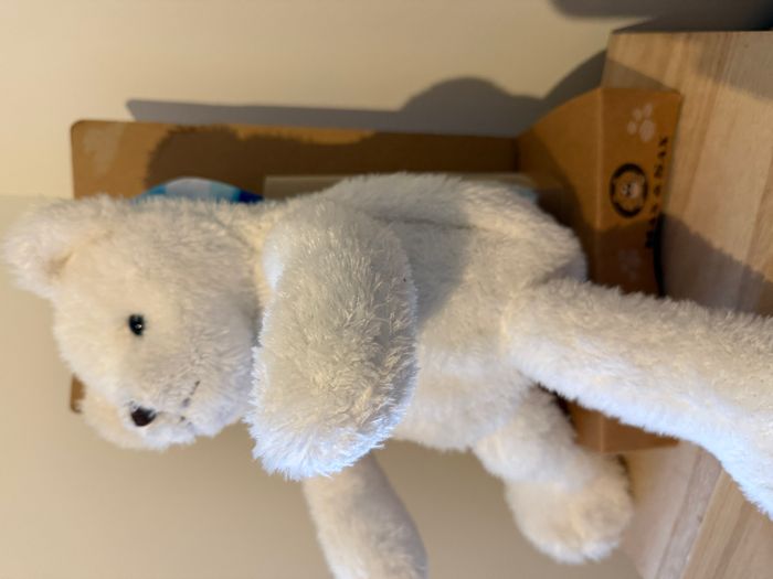 max & sax peluche ours livre - photo numéro 5