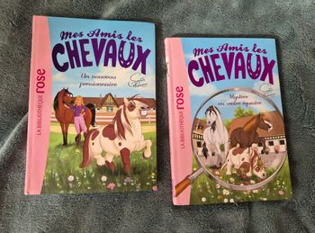 Mes amis les chevaux