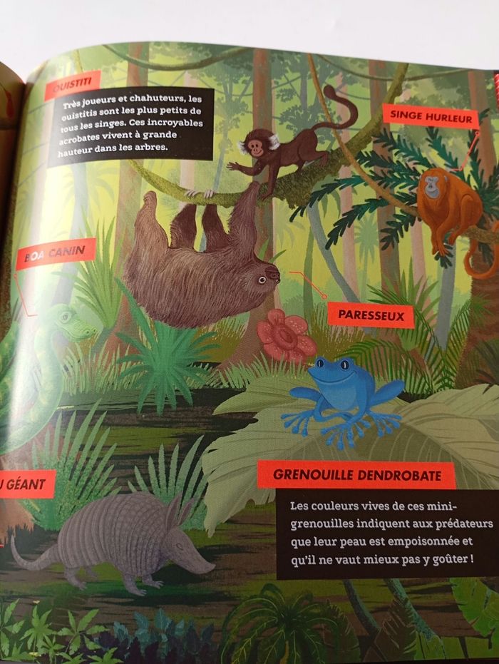 Dis pourquoi : les animaux sauvages - photo numéro 3