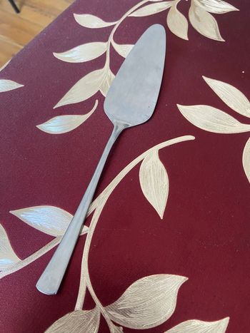 Pelle à tarte en inox