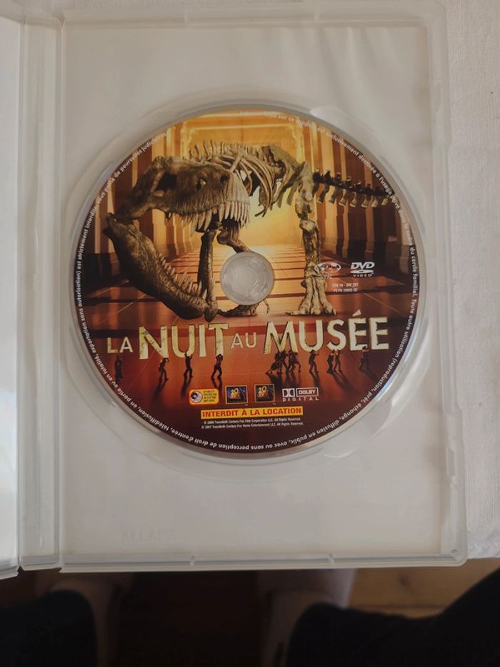 Dvd la nuit au musée - photo numéro 3