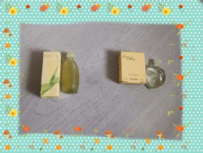 Lot de 2 miniatures Nature Yves Rocher Neufs