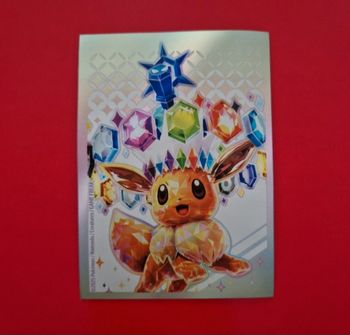 1 sleeve pokemon
