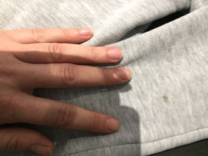 Veste zippé - photo numéro 2