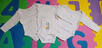 3 body orchestra 9 mois