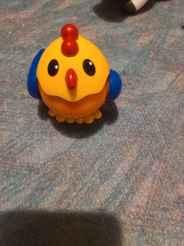 Poule tolo