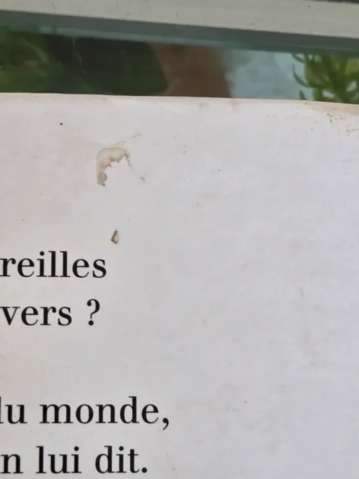 Livre ecoute Émile - photo numéro 3