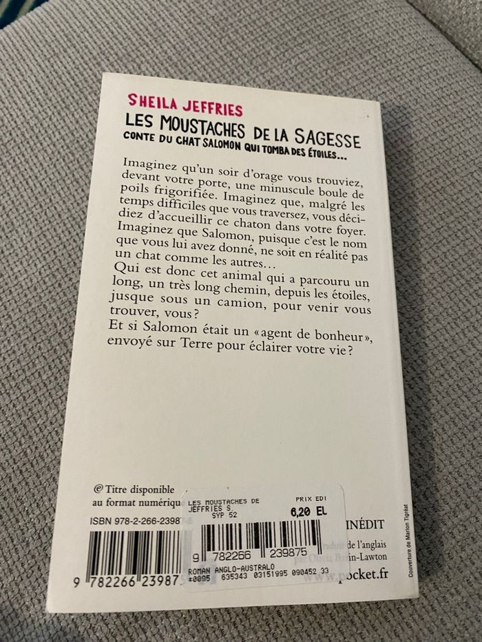 Les moustaches de la sagesse conte du chat Salomon qui tomba des étoiles - photo numéro 2