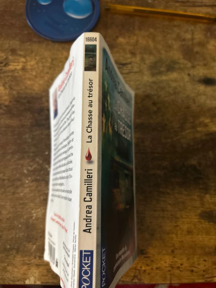 la chasse au trésor - photo numéro 3