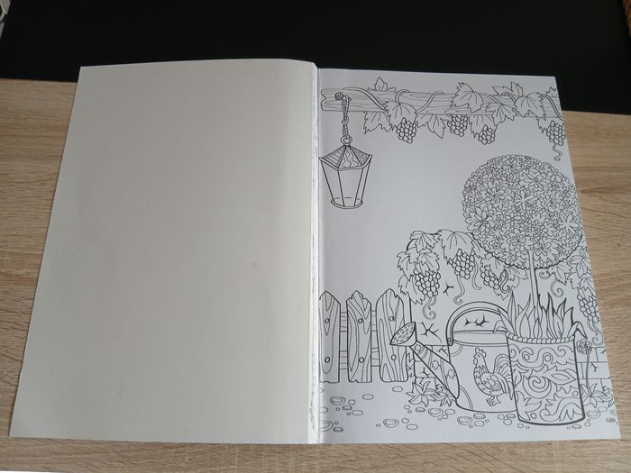 Livre coloriage Colouring Book - photo numéro 3