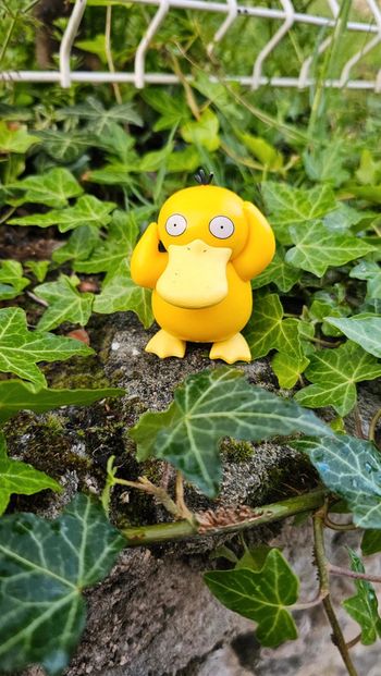 Super figurine Pokemon Psykokwak