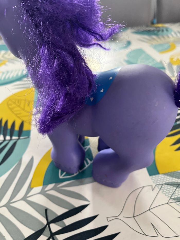 Grand poney - photo numéro 5