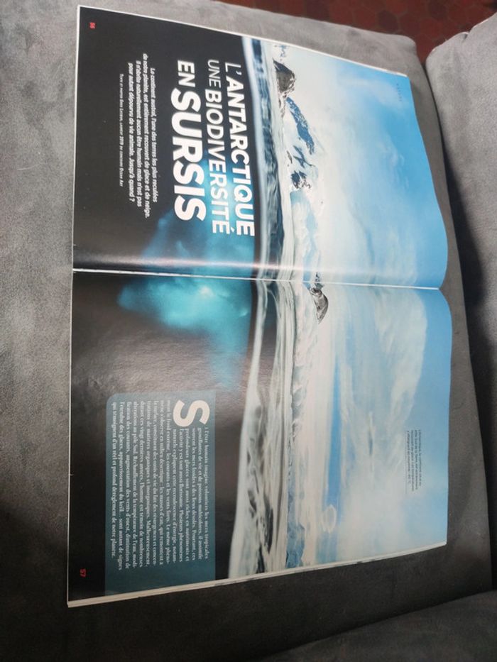 Magazine 30 millions d'amis numéro 391 janvier 2021 - photo numéro 12