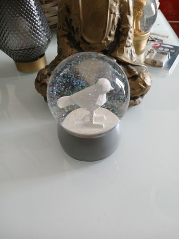 BOULE A NEIGE OISEAU GIFI