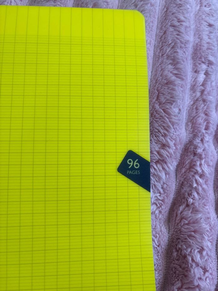 Lot cahier - photo numéro 8