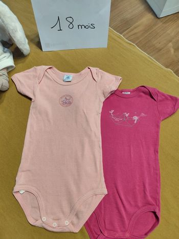Lot de 2 bodies manches courtes 18 mois