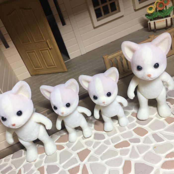 Famille chihuahuas sylvanian families - photo numéro 2