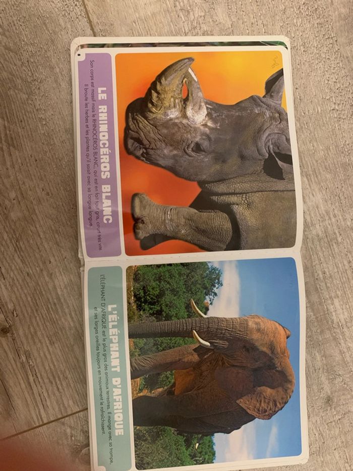 Livre - photo numéro 3