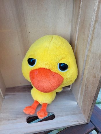 Peluche poussin