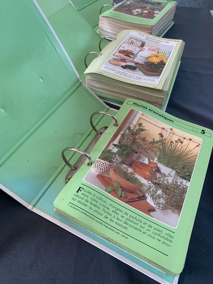 Soins et beauté des plantes - 1140 fiches explicatives - Série complète 6 classeurs + livre index - photo numéro 11
