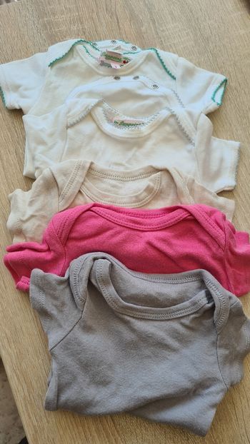 Lot 5 bodies manche courte