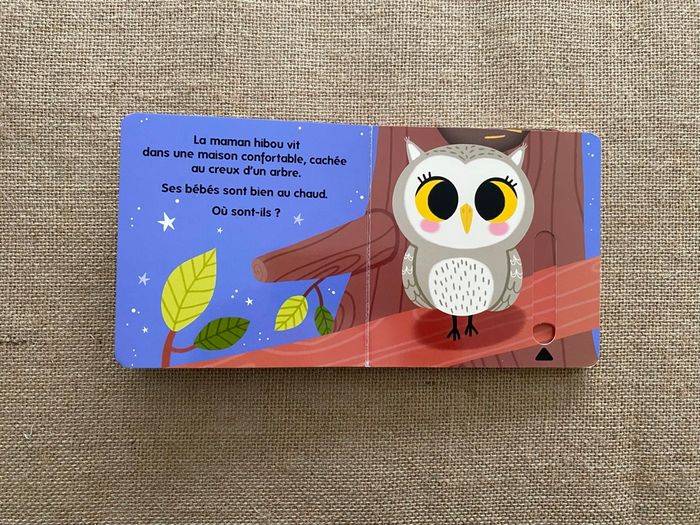 Livre Qui habite dans les bois ? Caché Trouvé Larousse Jeunesse - photo numéro 5