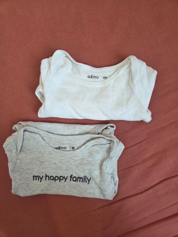 Lots 2 body manches longues 9 mois