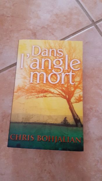 Dans l'angle mort de Chris Bohjalian