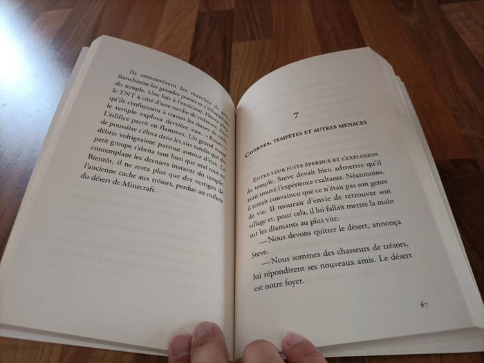 Livre La quête de l'épée de diamant Minecraft - photo numéro 8