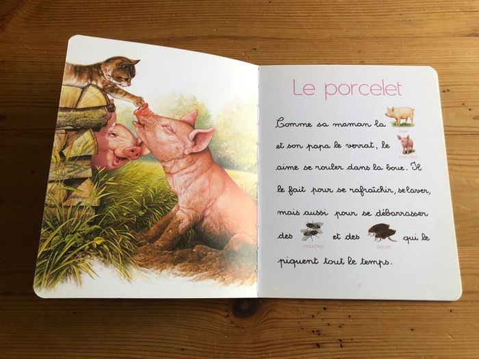 Livre Les bébés animaux - photo numéro 4