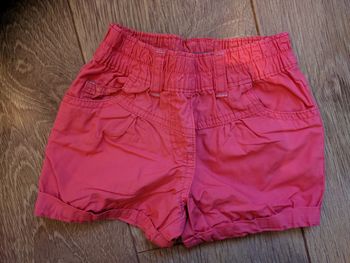 Short rose Orchestra - 2 ans