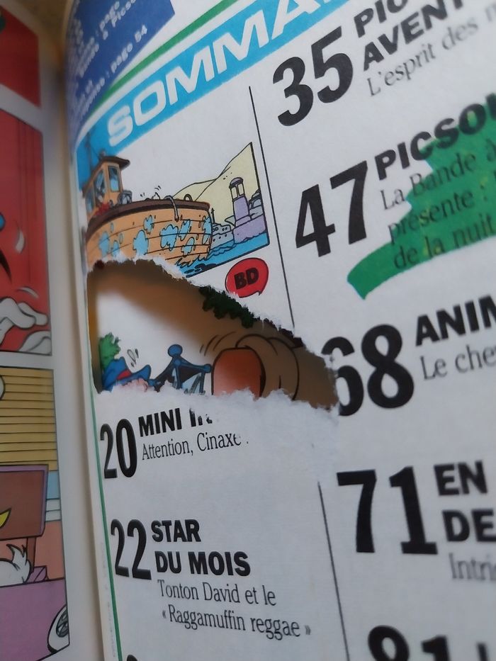 BD Picsou - photo numéro 5