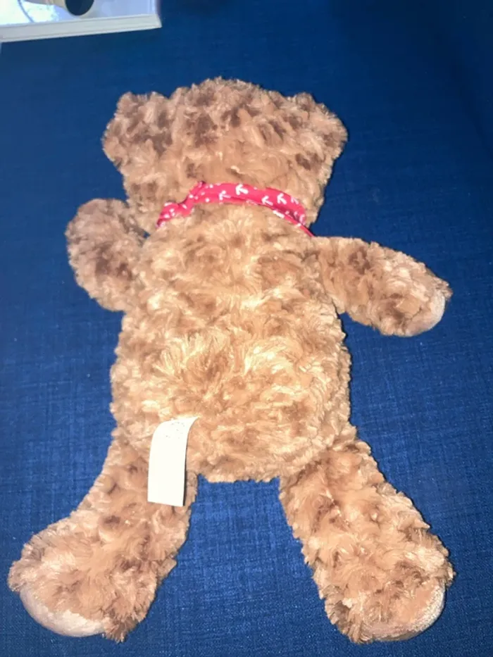 Nounours - photo numéro 2