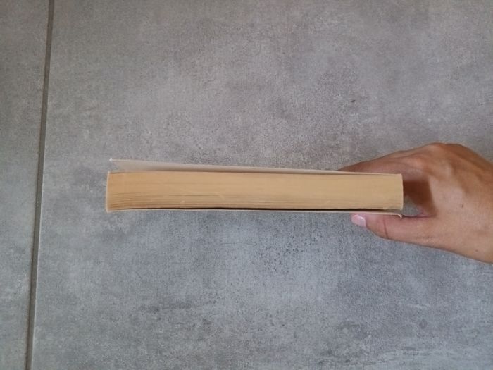 Livre Journal d'Anne Frank - photo numéro 3