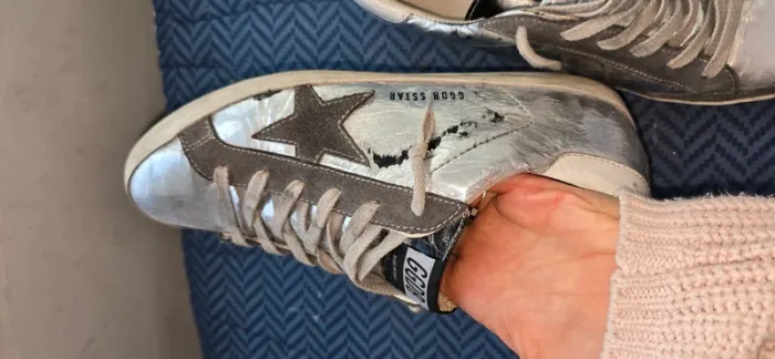 Golden goose - photo numéro 11