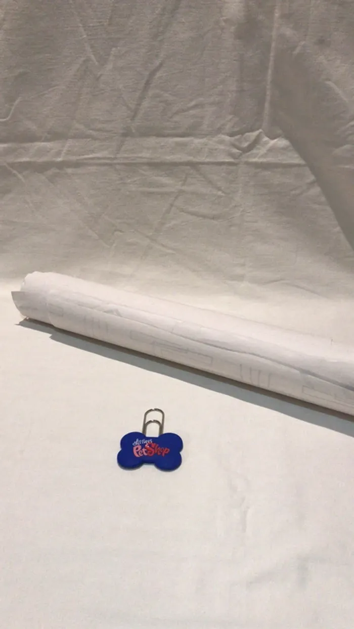 Poster de porte à colorier petshop - photo numéro 4