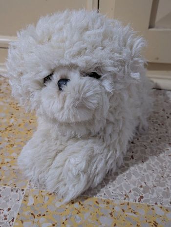 Peluche caniche vintage 