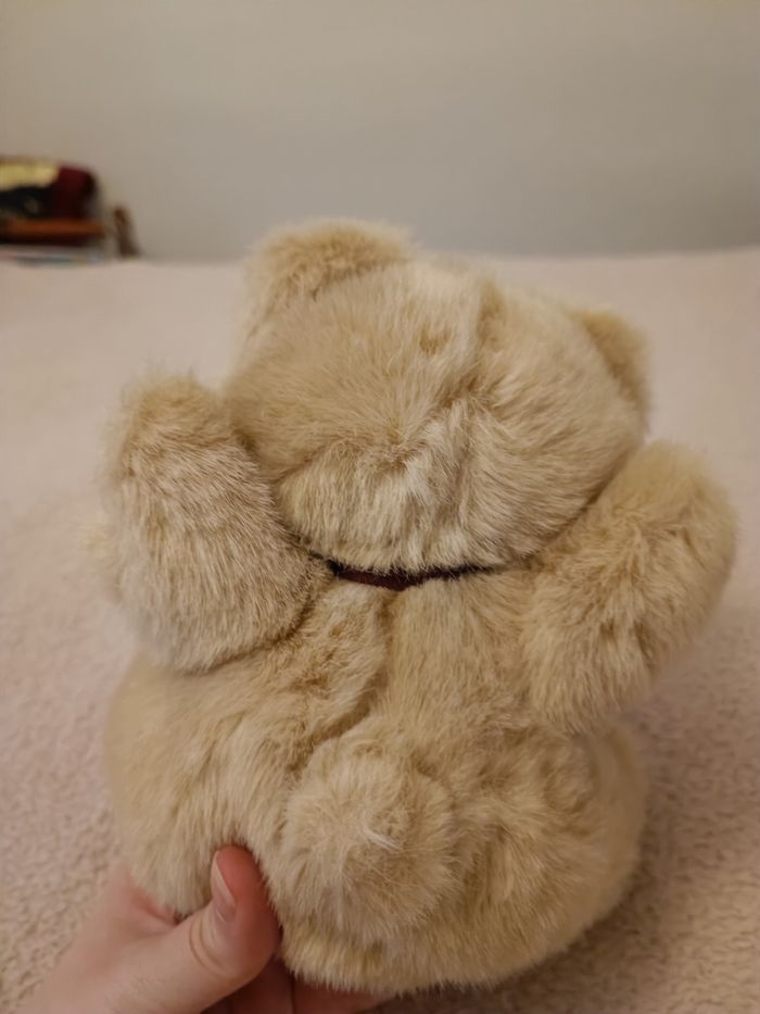 Ours en peluche - photo numéro 3