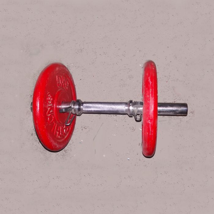 Barre d'haltère + 2 disques = 12kg - photo numéro 2