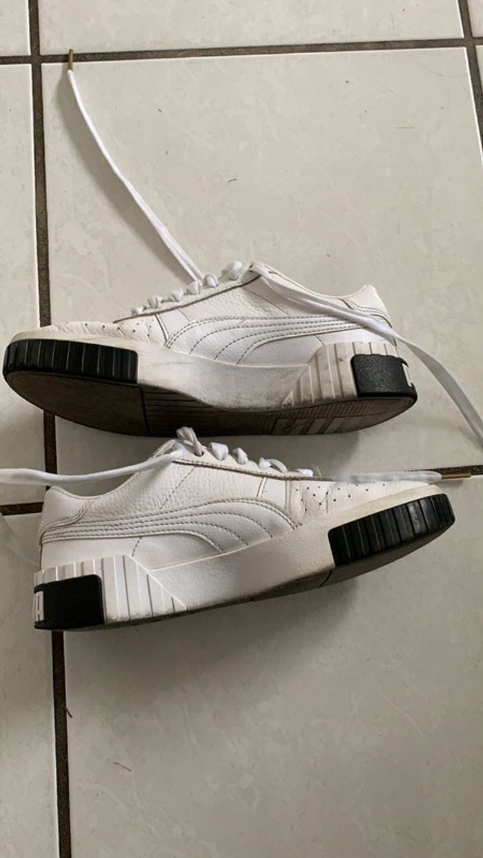 Puma Cali - photo numéro 2
