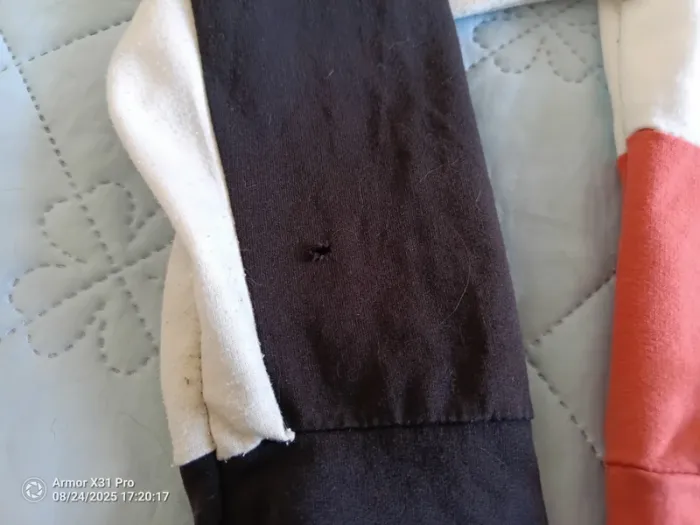 Pull à capuche XS - photo numéro 2