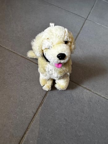 Peluche / Doudou - Chien - Sandy - Amigo - Beige, crème