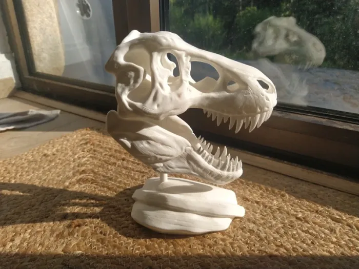 Crâne de T-Rex tyrannosaure Jurassic park - photo numéro 16