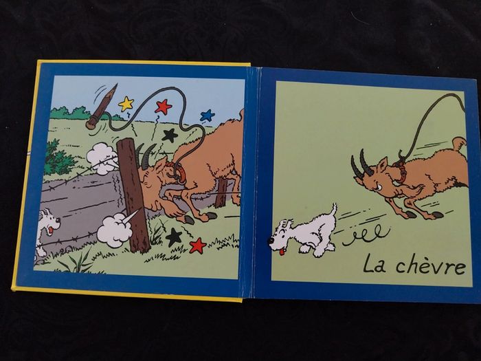 Tintin - photo numéro 2