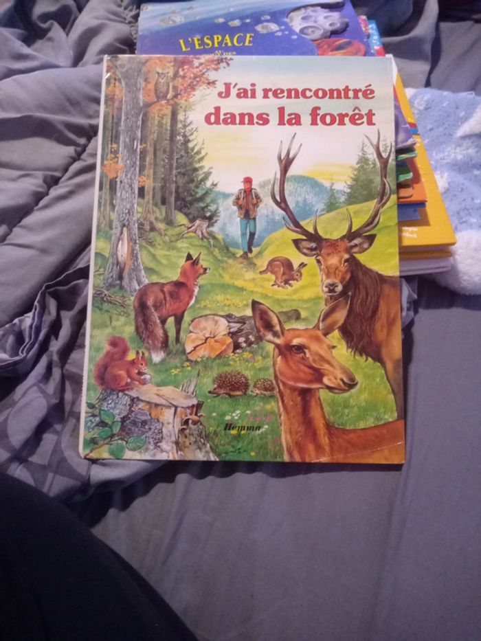 Livre enfant:" J'ai rencontré dans la forêt"