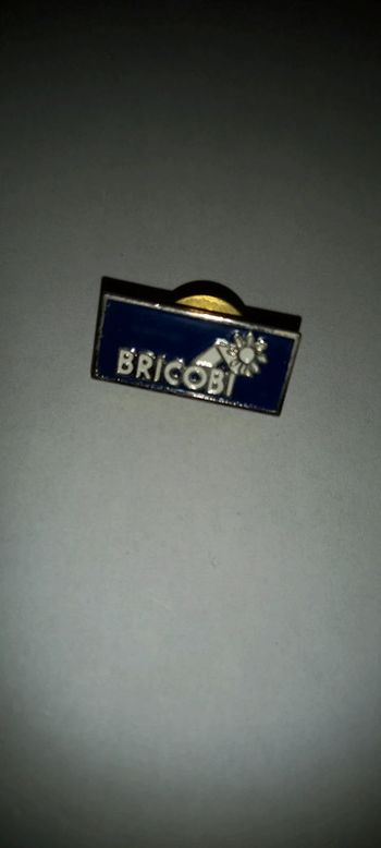 Pin's bricobi