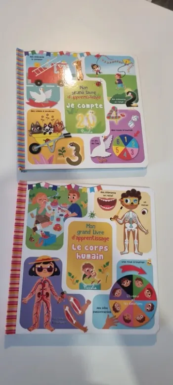 Lot de 2 Mon grand Livre d'apprentissage