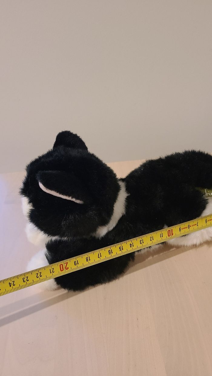 Doudou chat - photo numéro 6